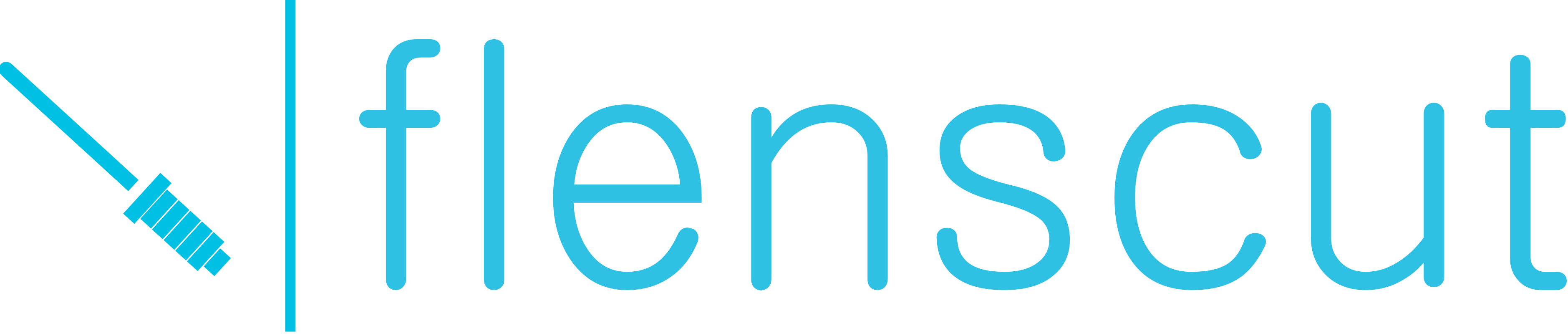 Logo Flenscut